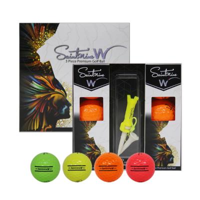 [세인트나인] SAINTNINE W COLOR 6구