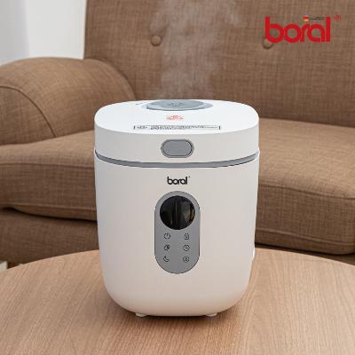 보랄 더 데일리 가열식 가습기 3.5L BR-HF5000Y