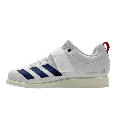 파워리프트 5(JP9878)