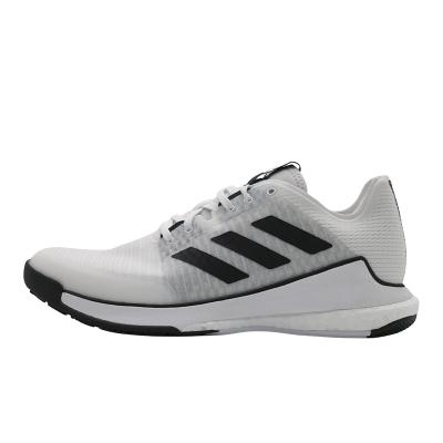 크레이지플라이트 M(HP3355)