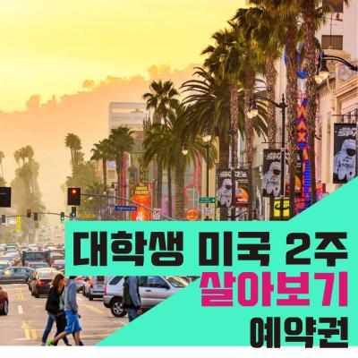 대학생 미국인처럼 살아보기 + 미국 서부 여행 2주(상담 후 결제상품)