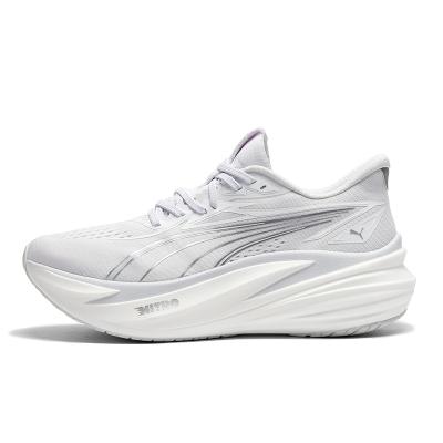 매그맥스 나이트로 2(31212502)