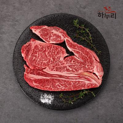 [하누리]  1++ 한우투뿔 구이용 등심+등심 500g